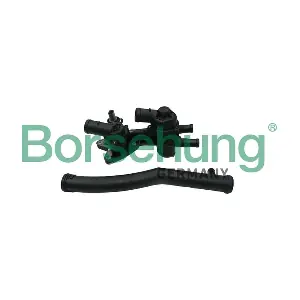 B19087 Borsehung