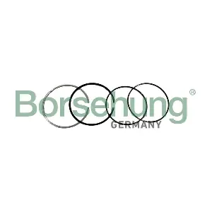 Borsehung B10371