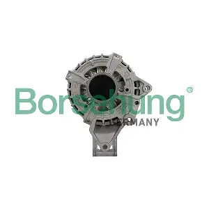 B12667 Borsehung