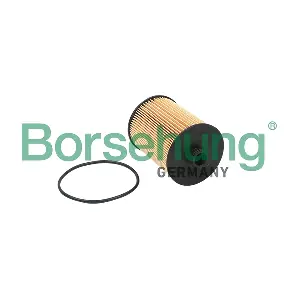 B18015 Borsehung