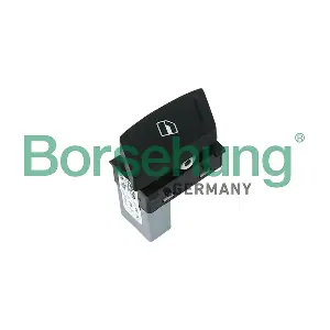 B11404 Borsehung