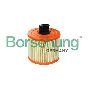 B12700 Borsehung
