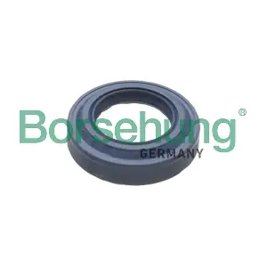 B17828 Borsehung