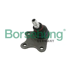 B11337 Borsehung
