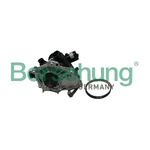 Borsehung B19205