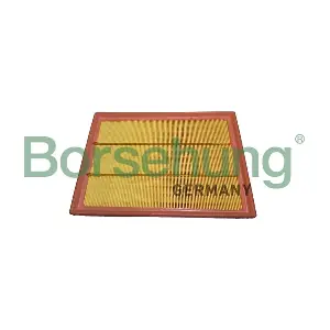 13717602643 BORSEHUNG