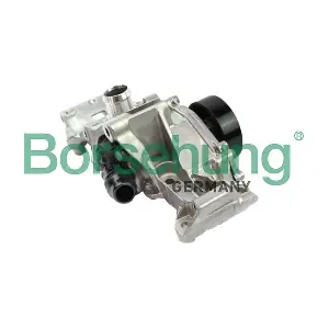 B11216 Borsehung