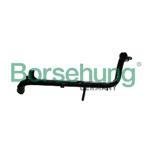 B11994 Borsehung