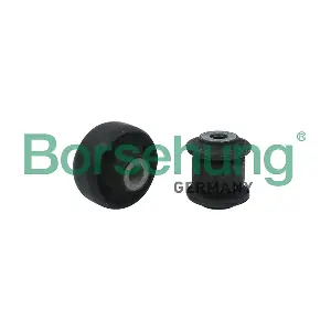 B18476 Borsehung
