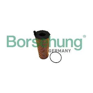 B10450 Borsehung