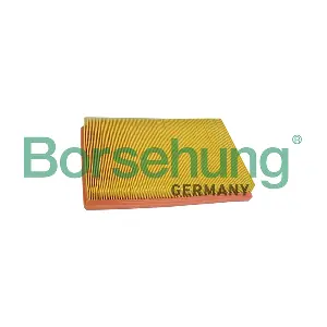 B10530 Borsehung