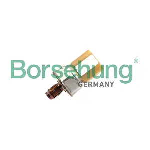 B11870 Borsehung