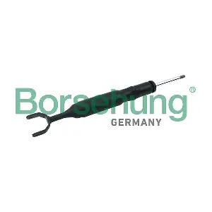 B12142 Borsehung