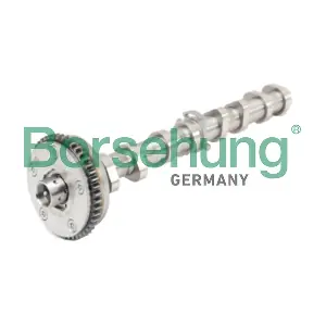 B18979 Borsehung