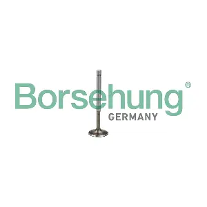 B19009 Borsehung