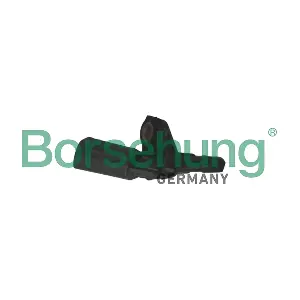 B12862 Borsehung
