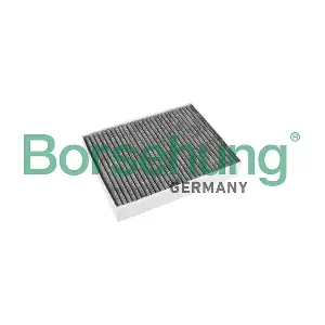 B12852 Borsehung