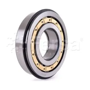 BC10058 SKF