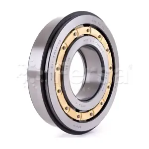 N 211 FMNR/C4 Fersa Bearings