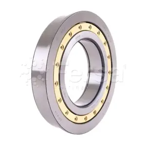 F 19097 Fersa Bearings