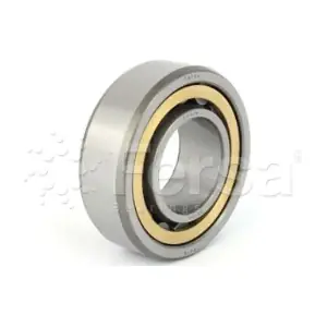 F 19080 Fersa Bearings