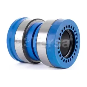 F 200023 Fersa Bearings