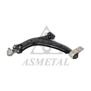 30PE1006 ASMETAL