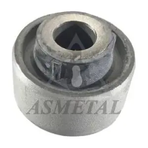 38RN5610 ASMETAL