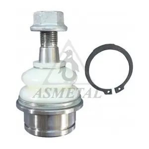 10NS0120 ASMETAL