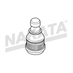 N99169 NAKATA