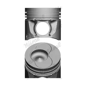 WG1175157 WILMINK GROUP