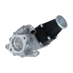 WILMINK GROUP WG2161832