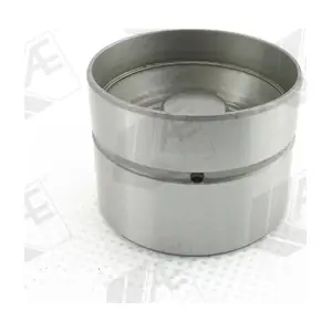WG1172062 WILMINK GROUP