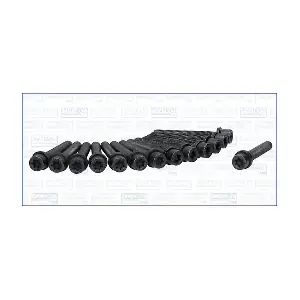 WG1009623 WILMINK GROUP