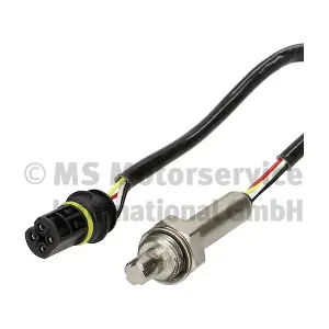 WILMINK GROUP WG1025989