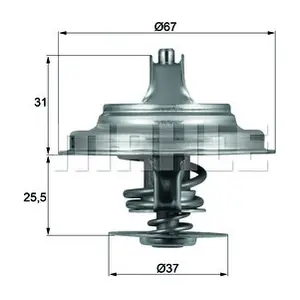 WILMINK GROUP WG1262722