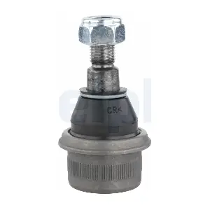 WG2582524 WILMINK GROUP