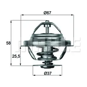 WILMINK GROUP WG1217906