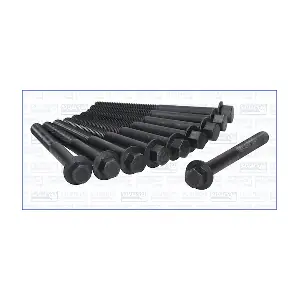 WG1009597 WILMINK GROUP
