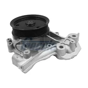 WG2396252 WILMINK GROUP