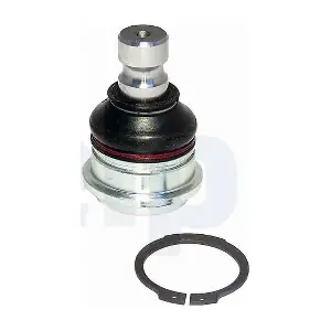 WG2582613 WILMINK GROUP