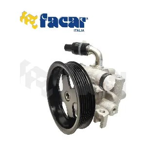 809081 FACAR
