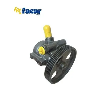 806070 FACAR