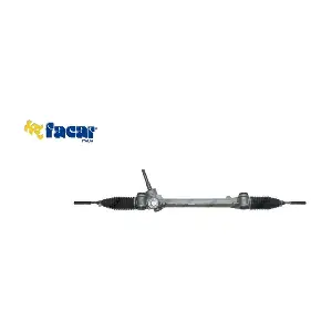 439009 FACAR