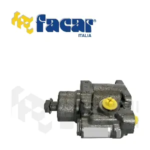 818013 FACAR