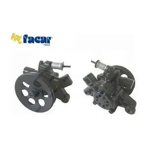 810029 FACAR