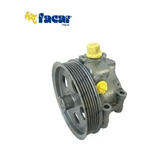 809062 FACAR