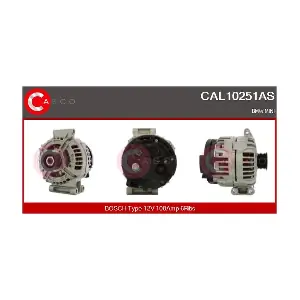 CAL10251AS CASCO