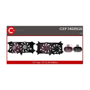 CEF74025GS CASCO