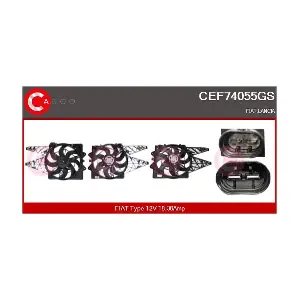 CEF74055GS CASCO